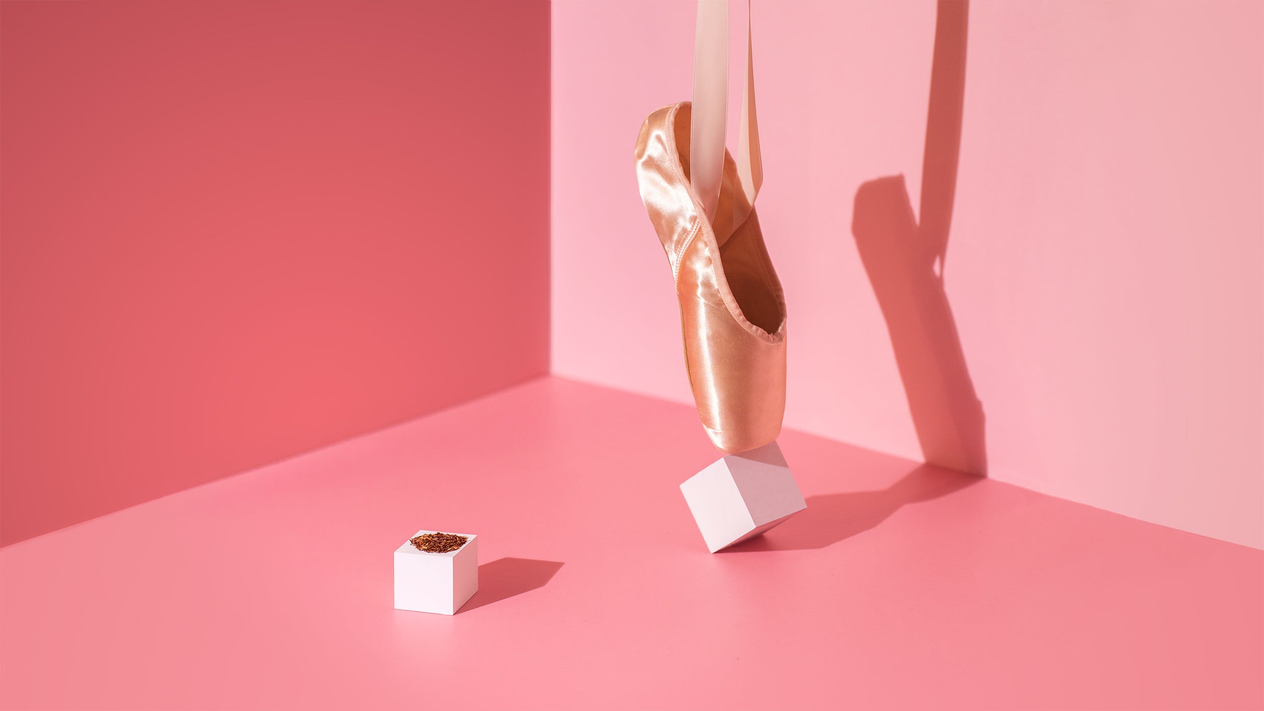 Dance of the Sugar Plum Fairy