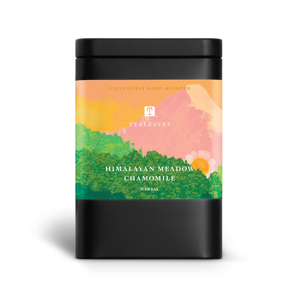 Himalayan Meadow Chamomile