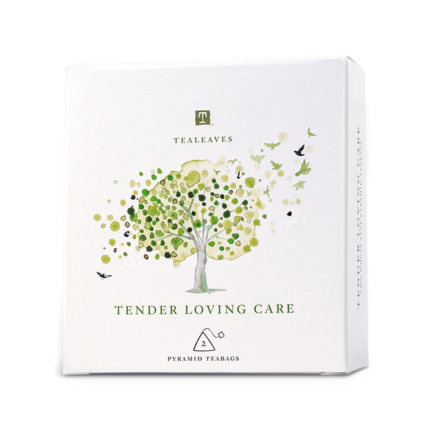 Assorted Green Tea Bags - Tender Loving Care Kit | TEALEAVES