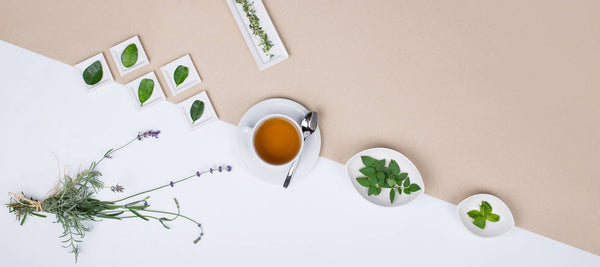 Embrace the Caffeine-Free Infusions of Herbal Tea