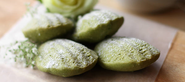 Green Tea Matcha Madeleines pastry recipe