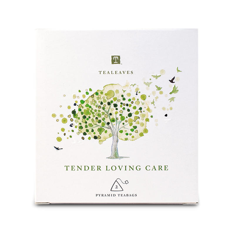 Assorted Green Tea Bags - Tender Loving Care Kit | TEALEAVES