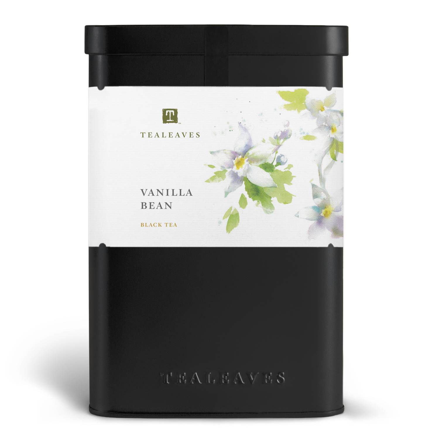 Vanilla Bean