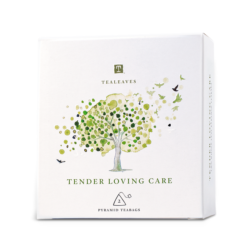 Tender Loving Care Assorted Green Tea Kit