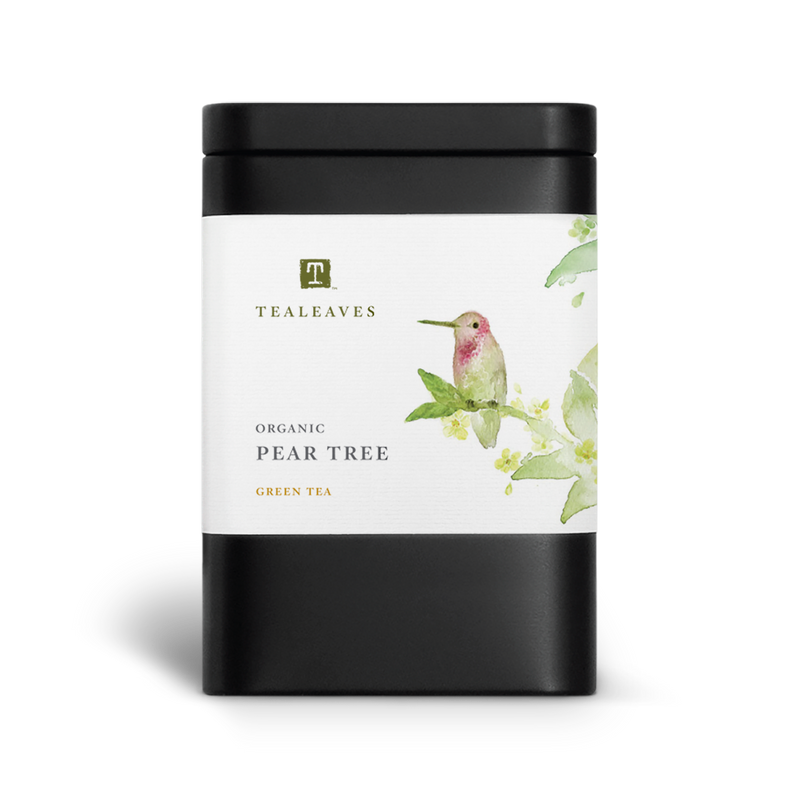 Organic Pear Tree Green Tea